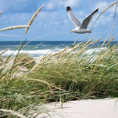 In Duinbergen By The Seafront Апартаменты